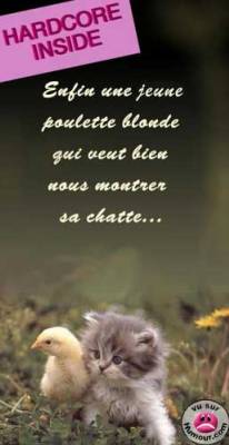 mdr